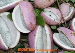 帅哥吃八月瓜视频,帅哥挑战独特口感，带你领略田园风味