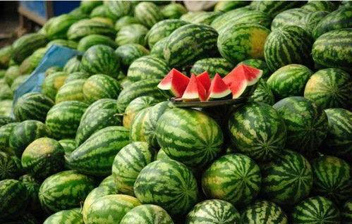 长花纹瓜怎么吃才好吃视频,长花纹瓜美味食法大揭秘