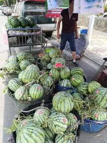 潍坊十大吃瓜事件视频