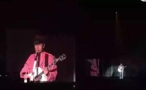 吃瓜演唱会吞金视频