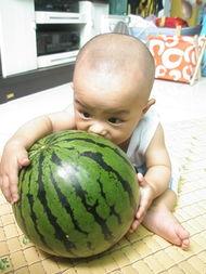 九个月的吃瓜视频