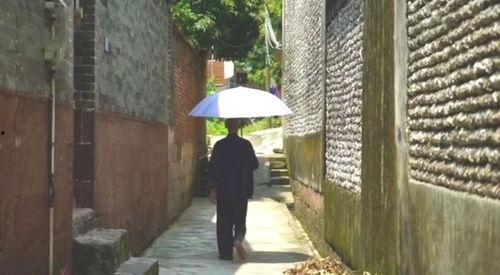 成都花园吃瓜事件视频播放,视频曝光引发网友热议