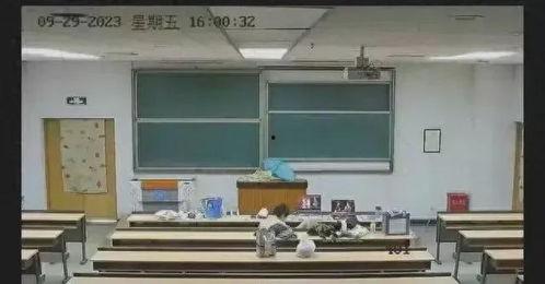 教室吃瓜现场视频大全集,揭秘教室吃瓜现场视频大全集