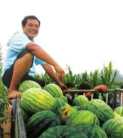 山工园吃瓜视频大全最新,盘点校园生活趣味瞬间