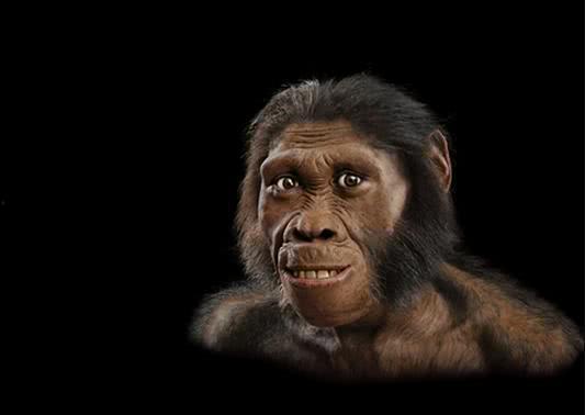 原始人吃瓜放屁视频大全,吃瓜放屁视频大盘点