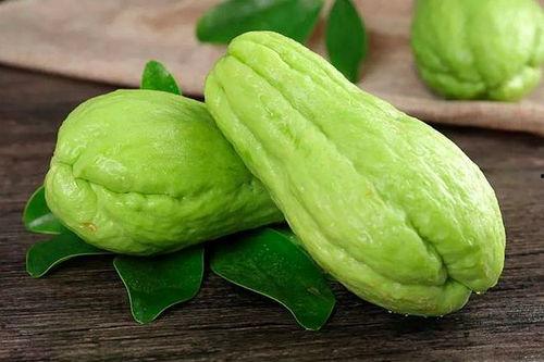 葵瓜老人可以吃吗视频