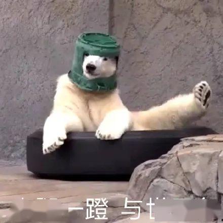 沙雕吃瓜吐槽视频大全集