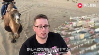 东关大叔吃瓜视频全集,揭秘娱乐圈幕后故事