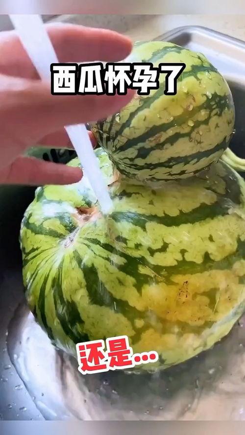 全国吃瓜爆笑视频,笑料百出，欢乐无限