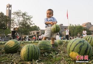 柳南体育园事件吃瓜视频